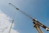 crane
