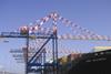 The new Liebherr equipment should help Transnet save on both efficiency and emissions