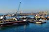 The expansion will enable the Port of Livorno to handle larger vessels. Photo: Robert Pittman/Flickr