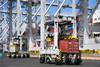 An additional fleet of AutoShuttles will increase capacity and efficiency at VICT Photo: Kalmar