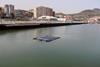 A floating PV array at the Port of Bilbao