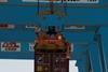Port Strategy: APM Terminals has already invested about $62m in equipment