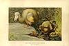 Port_Louis_picture_dodo_1.jpg