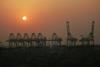 Port Strategy: DP World claims that growth is still being considered despite stalled expansion plans in Dubai