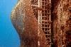 Ocean Ecostructures life boosting unit