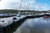 cell-fenders_general-cargo-terminal_foynes_ireland_shibatafenderteam