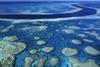 The Great Barrier Reef may be at risk from theOz shipping boom