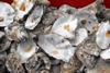 Oysters can provide 'services' that can outweigh their harvest value  Photo: © Penny Mayes/CC BY-SA 2.0
