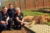The ropes have been recycled for use as scratch posts by lions and leopards in a big cat sanctuary in Kent, UK