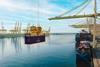 DP World Container at the Port