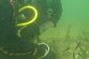 A diver checking the health of seagrass in NSW