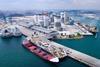 Singapore’s Jurong Port has joined the Castor Initiative