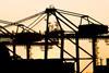 All change: is the sun setting on current Spanish stevedoring rules? Credit: Claudi Cervello
