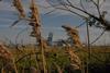 HPUK_1010_HighRes.jpg