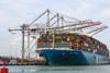 DP World is investing in the latest green technology at its UK ports Photo: DP World Southampton