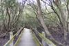 Port Strategy: a pretty boardwalk or future port location?