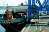 Hamburg growing faster than the rest