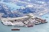 The 'Plug and Play' area at Maasvlakte 2 will allow companies to focus on their core business