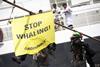 Rotterdam sees any link to whaling as detrimental to the port Photo: Daniel Mueller/Greenpeace