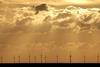 The UK’s windfarm industry is benefitting from recent budget promises