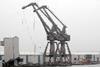 LivCranes-1.jpg