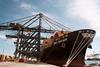 Port Strategy: The lines' split from Marítima Valenciana is amicable