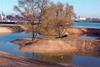 The fish spawning area