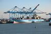 Port Strategy: Port of Zeebrugge