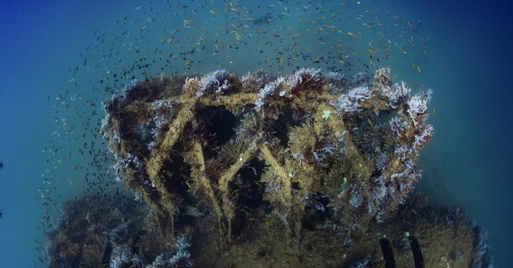 Fishers and energy giant create new marine habitat