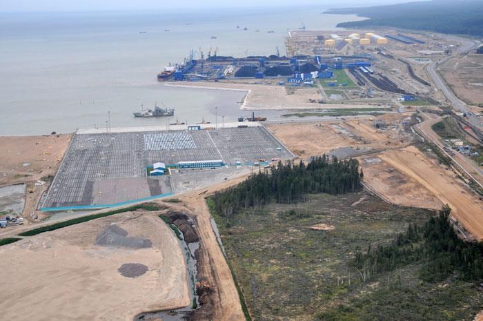 Putin confident over Ust-Luga | News | Port Strategy