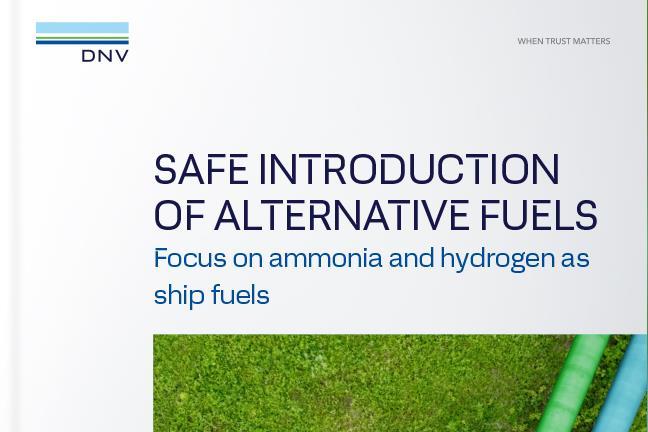 Navigating the Waters: Challenges and Opportunities of Ammonia and Hydrogen as Marine Fuels