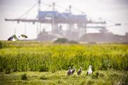 The image shows birds in front of the Port of Rotterdam