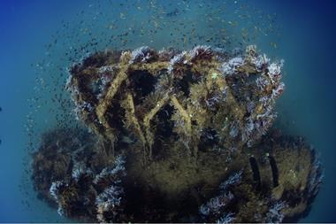 Corals and fish species use the modules to create a new marine habitat