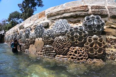 A close up of the Living Seawalls at Jebel Ali Port