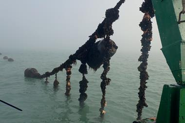 The Coastbusters research project