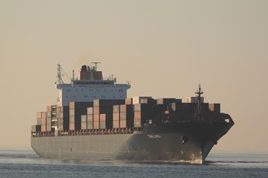 Flying-Fish-2023-scaled