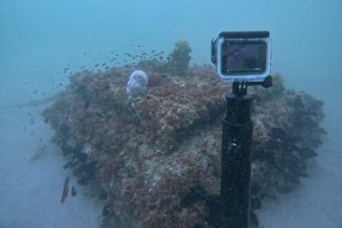 The Ecoreef installation underwater in the UAE