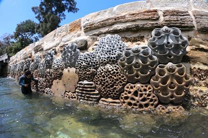 A close up of the Living Seawalls at Jebel Ali Port