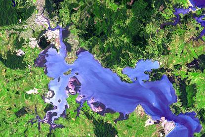 Whangarei_Harbour_(satellite_image)