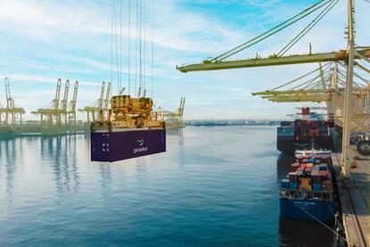 DP World Container at the Port