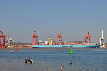 Transnet said it pulled the venture on the basis of its own forensic investigation following allegations brought up by a losing bidder (image is of Durban Container Terminal) Photo: Pechristener/Wikimedia Commons/CC BY-SA 3.0