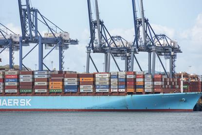 shutterstock_2733326281