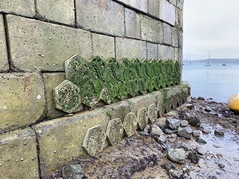 Living wall tiles at Falmouth Harbour
