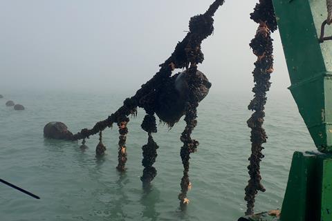 The Coastbusters research project