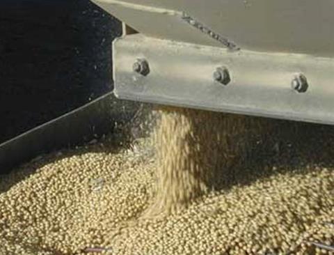 Argentina's ports may gain from growing soybean demand. Photo:IAState.Edu