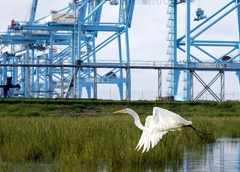 APMT is in a bid to operate Port of Virginia facilities