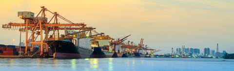 Wide view of several container ships at port with gantry cranes overhead.