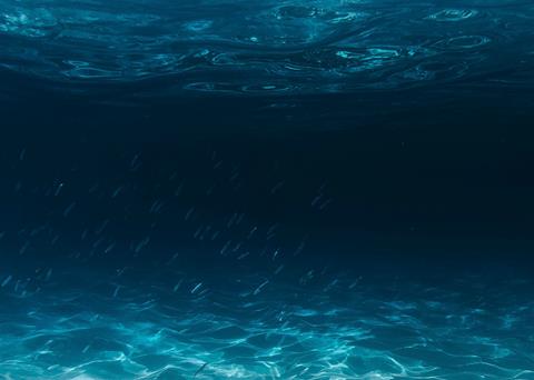 Sustainable Ocean Principles