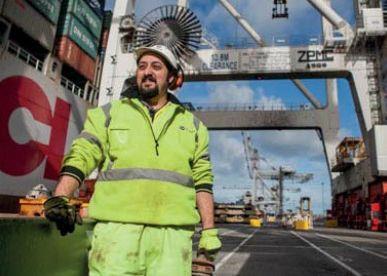 Stevedore